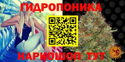 СК Мариинск