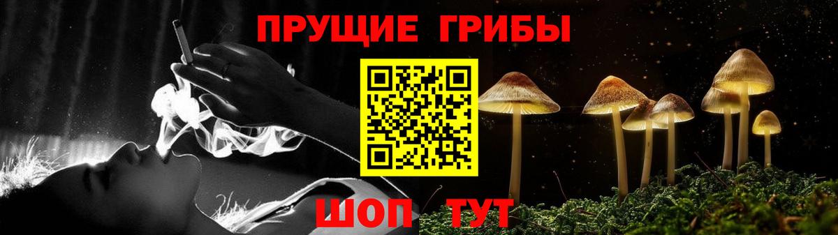 Чехов  Псилоцибиновые грибы прущие грибы  Псилоцибиновые грибы Cubensis  Вход с VPN 